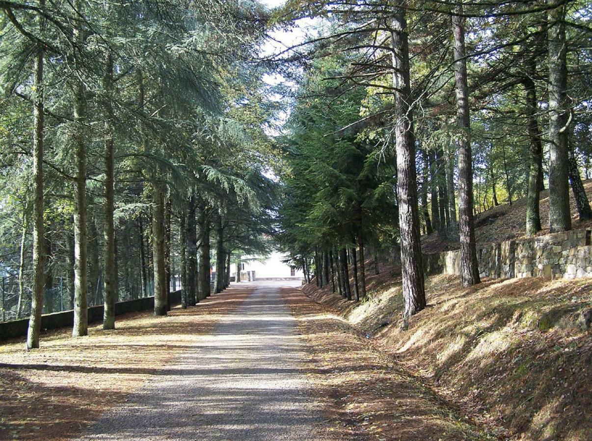 B&B Armony Bono Bono  Dış mekan fotoğraf