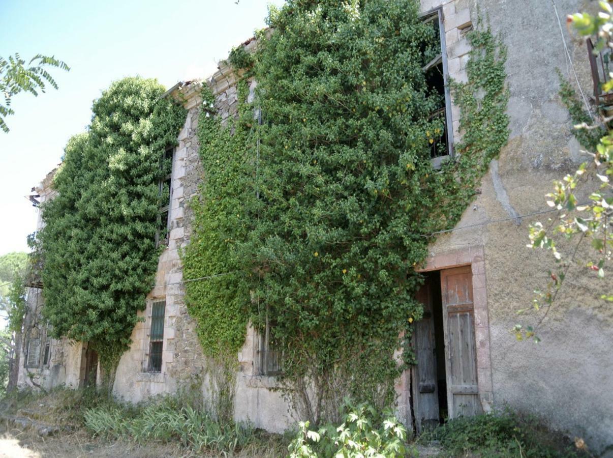 B&B Armony Bono Bono  Dış mekan fotoğraf